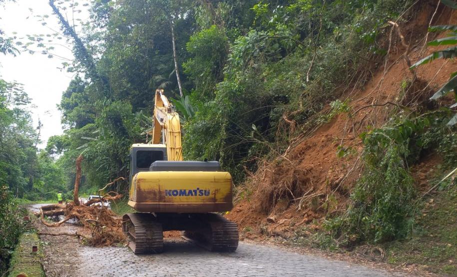 Estrada da Graciosa: retirada de raízes de árvores caídas