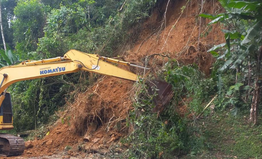 Estrada da Graciosa: retirada de raízes de árvores caídas