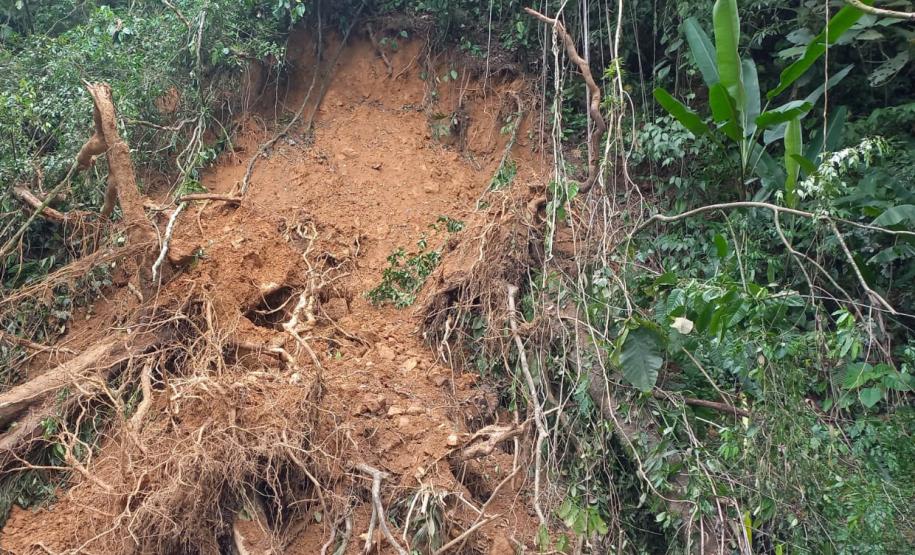 Estrada da Graciosa: retirada de raízes de árvores caídas