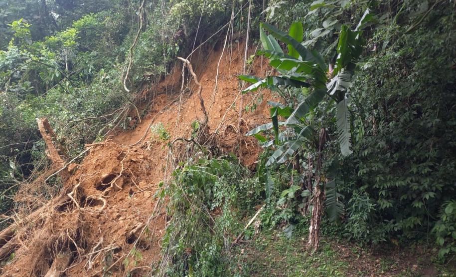 Estrada da Graciosa: retirada de raízes de árvores caídas