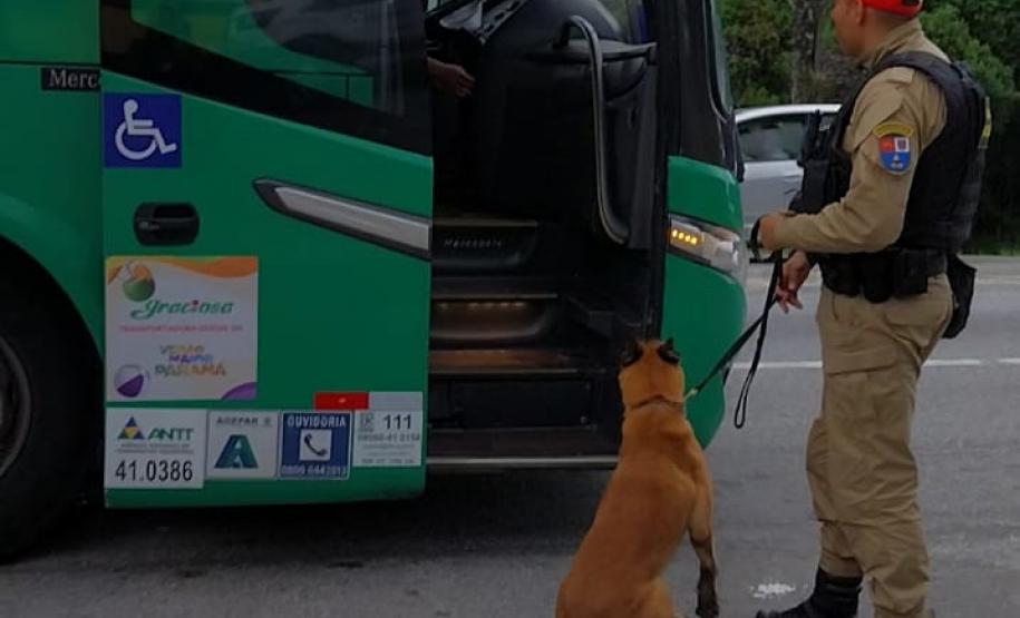 Operação do DER/PR para fiscalização de transporte rodoviário comercial de passageiros