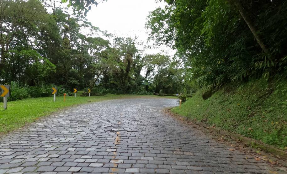 Estrada da Graciosa - trecho de pavimento poliédrico