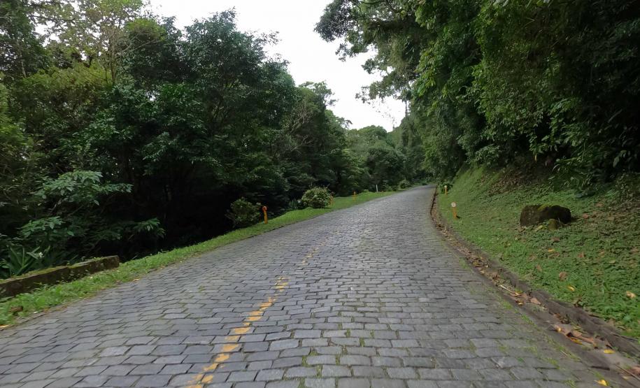 Estrada da Graciosa - trecho de pavimento poliédrico