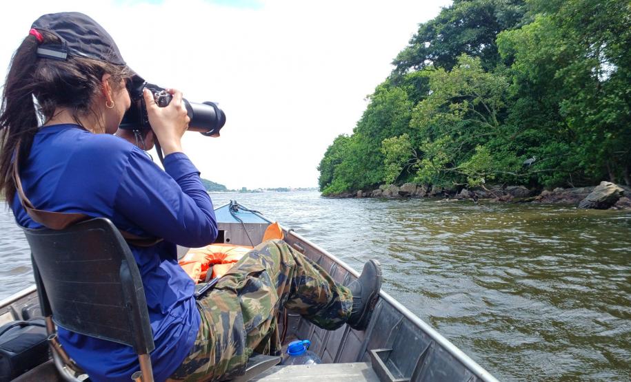 Monitoramento ambiental