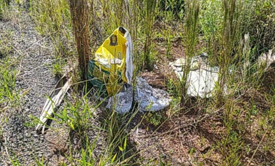 Lixo descartado na faixa de domínio de rodovias estaduais