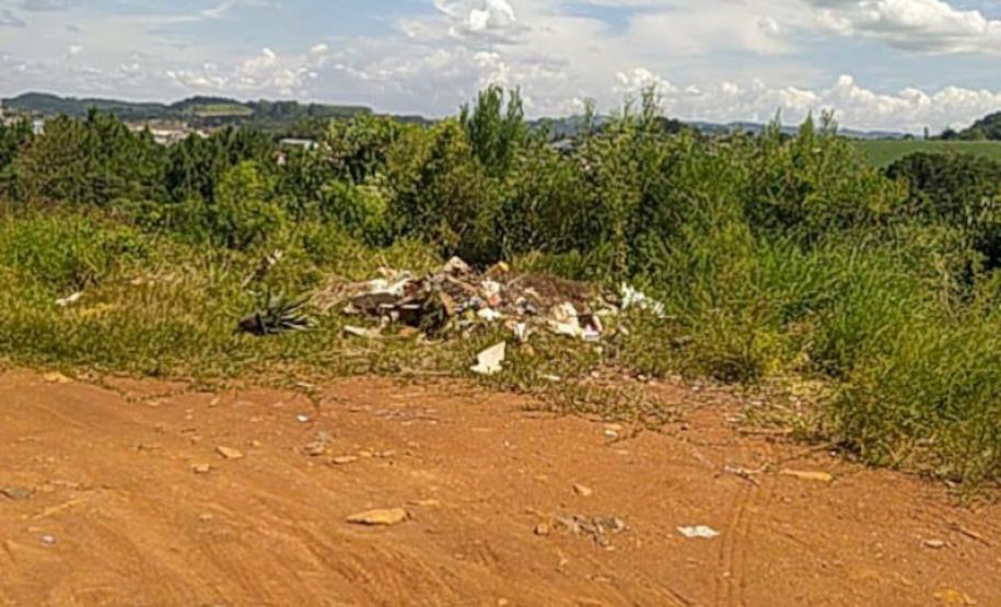 Lixo descartado na faixa de domínio de rodovias estaduais