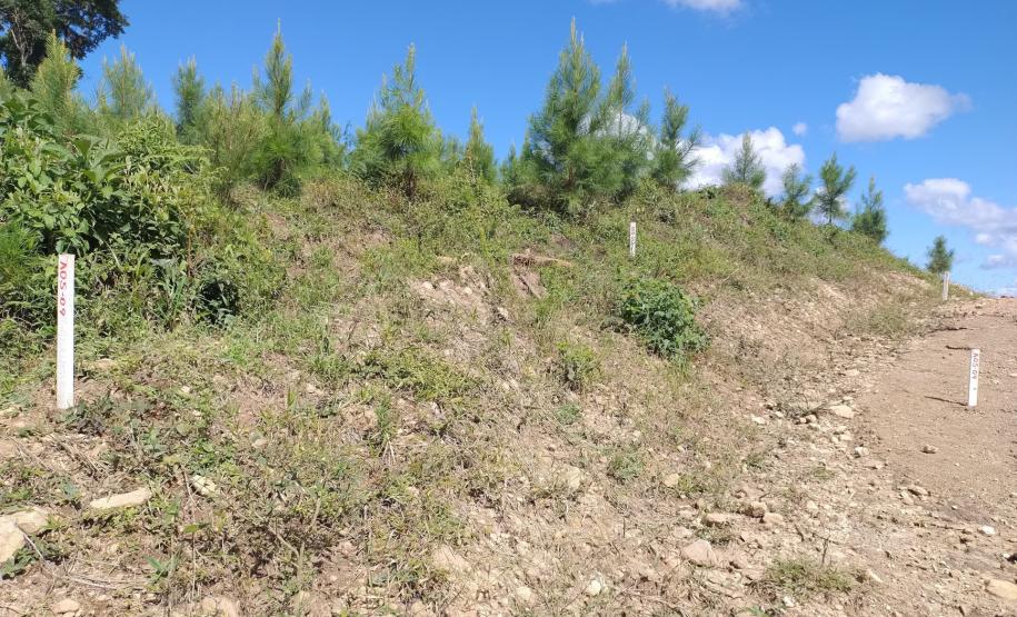 PR-092 em Doutor Ulysses, trecho que será pavimentado