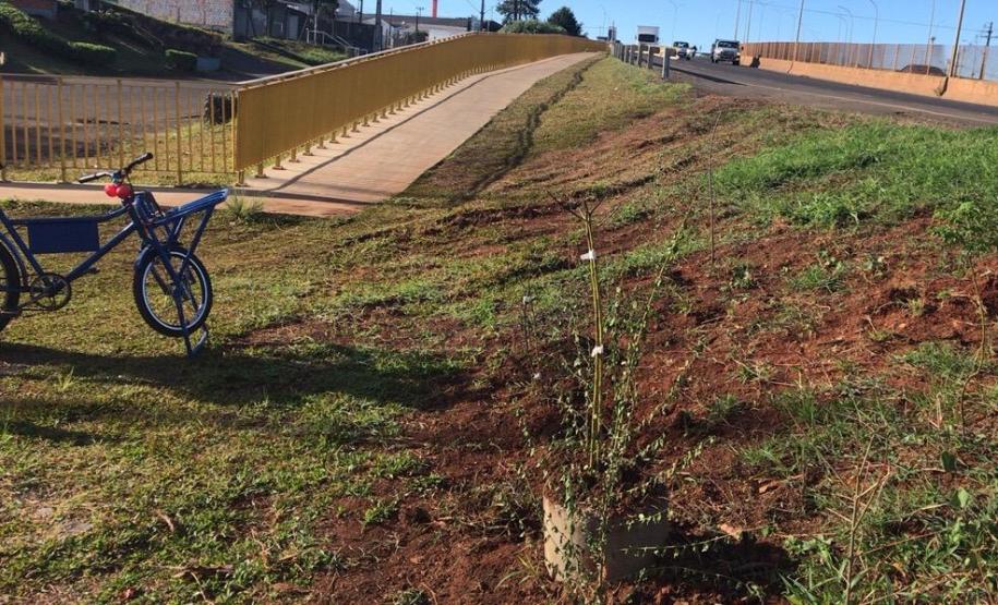 Serviços de roçada na PRC-466 em Guarapuava