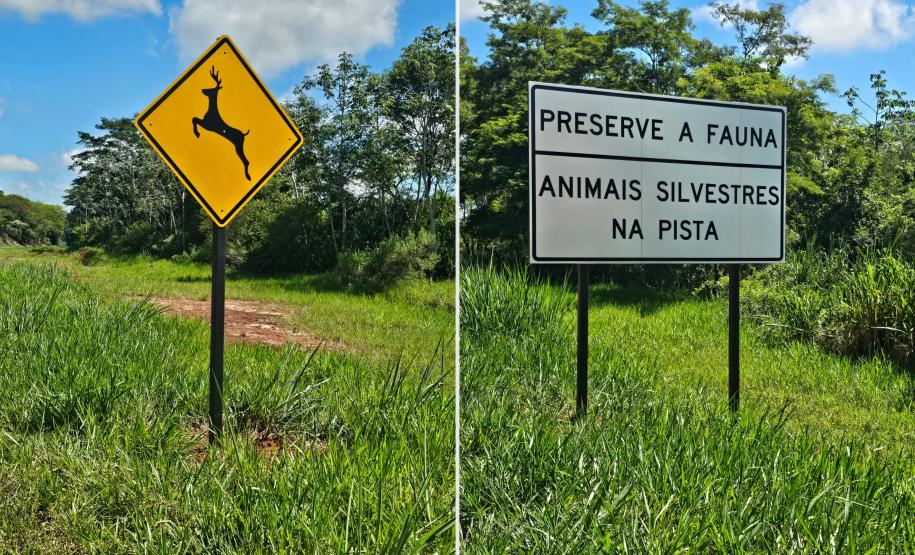 Novas placas e painéis da BR-487 na Parque Nacional Ilha Grande