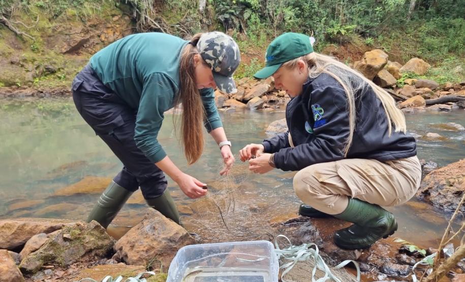 PRC-466 equipe ambiental da obra de duplicação entre Pitanga e Turvo