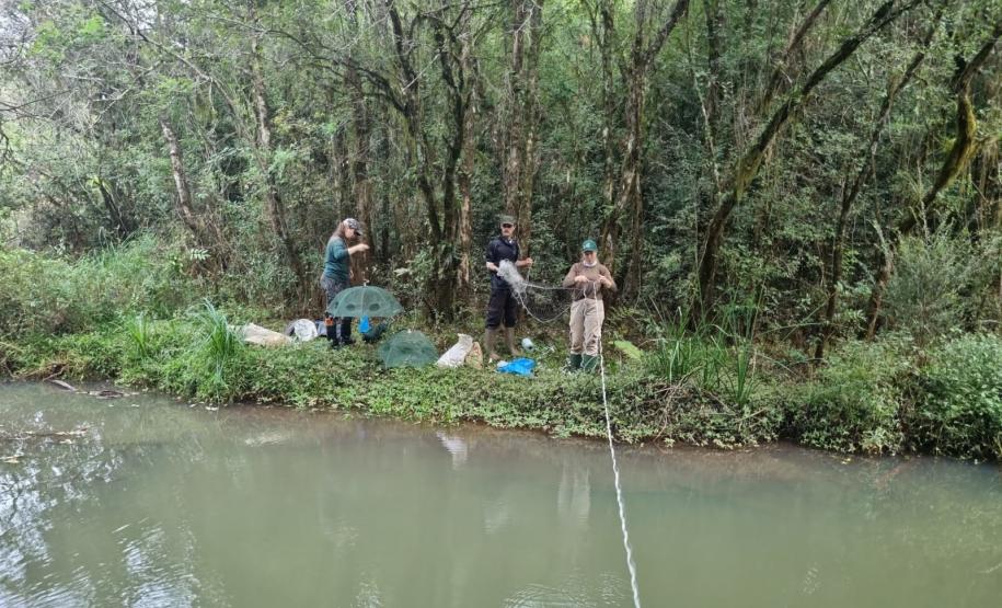 PRC-466 equipe ambiental da obra de duplicação entre Pitanga e Turvo