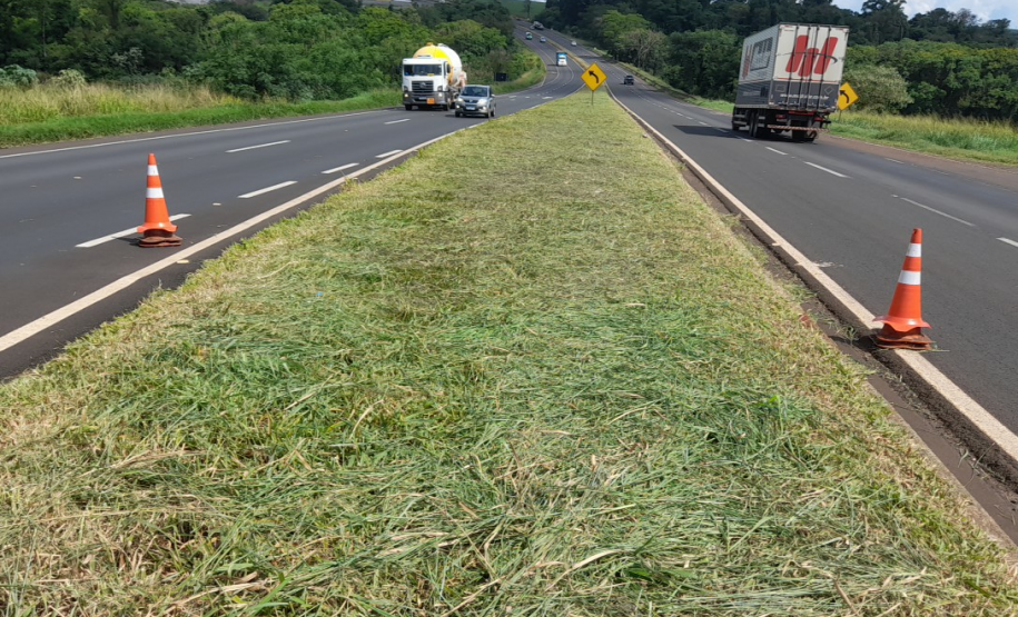 Veículos em rodovias
