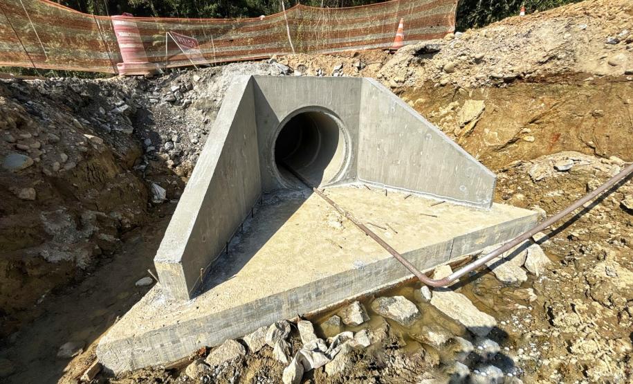 Passa-faunas nos acessos da Ponte de Guaratuba