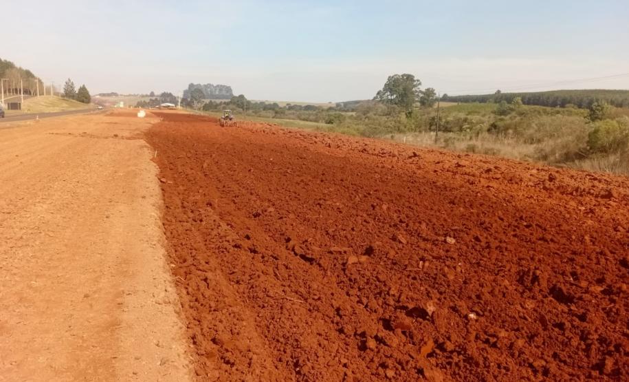 PRC-466 entre Palmeirinha e Guarapuava - pavimentação em concreto