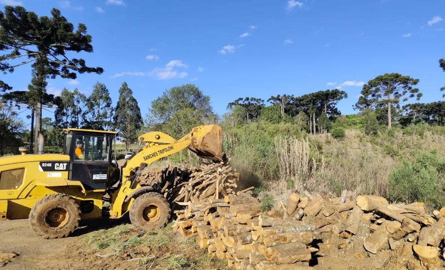 PRC-466 material lenhoso depositado na faixa de domínio