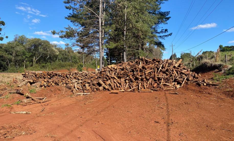 PRC-466 material lenhoso depositado na faixa de domínio