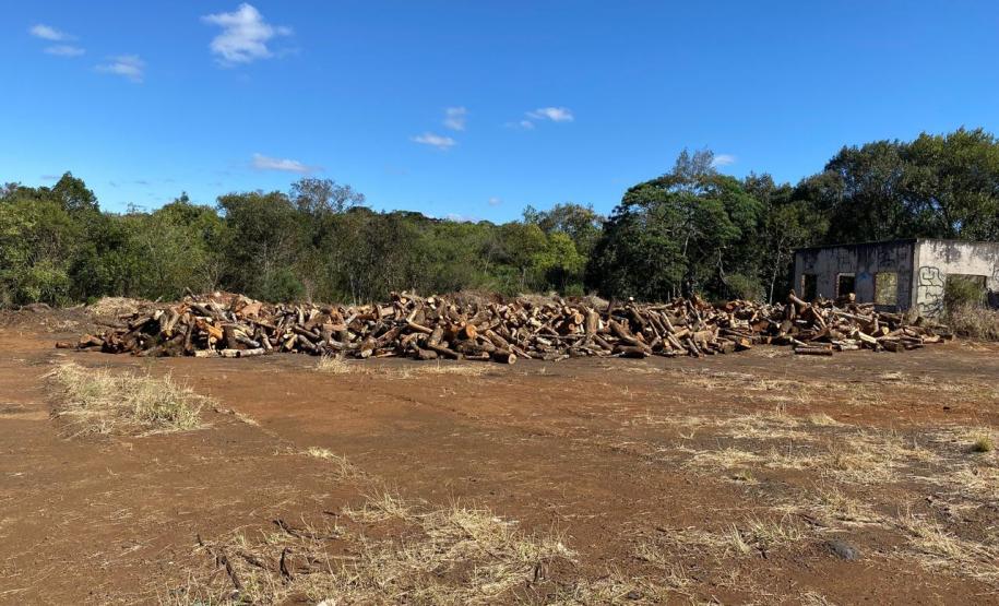 PRC-466 material lenhoso depositado na faixa de domínio