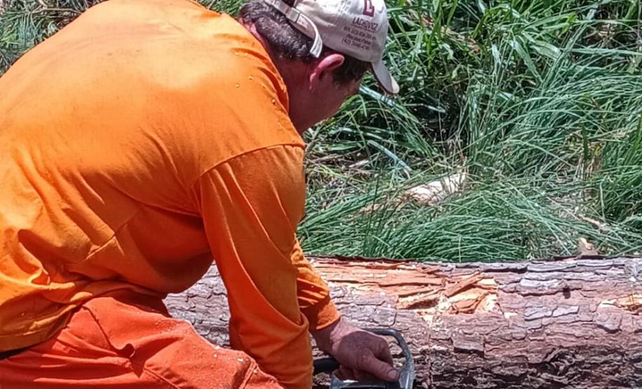 PR-170 em Guarapuava