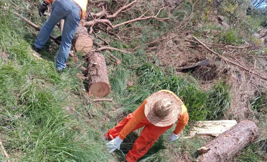 PR-170 em Guarapuava