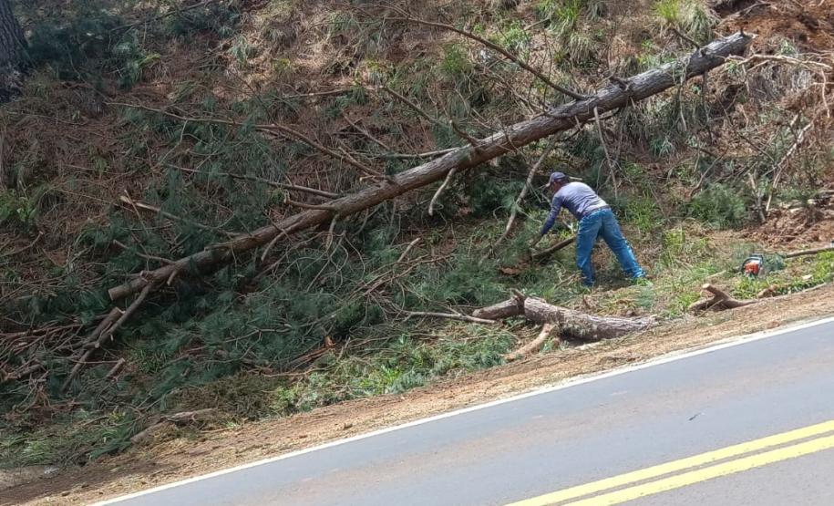 PR-170 em Guarapuava