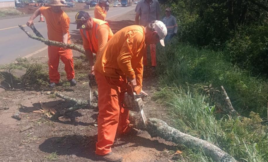 PR-170 em Guarapuava