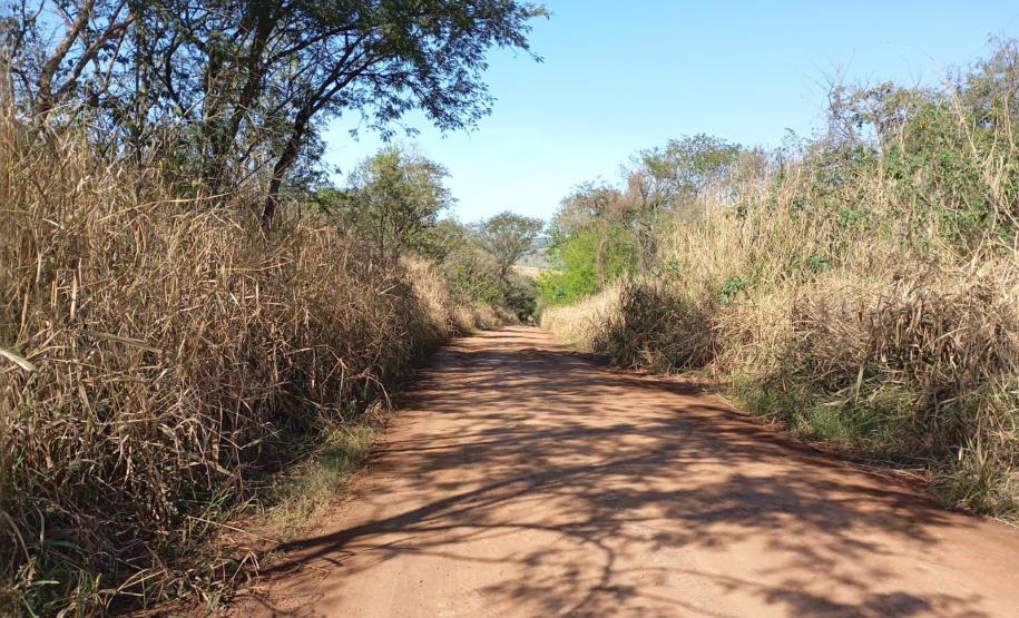 PR-462 entre Iretama e Barbosa Ferraz