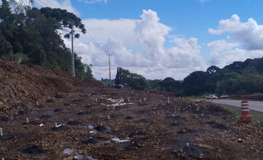 PRC-466 entre Turvo e Palmeirinha