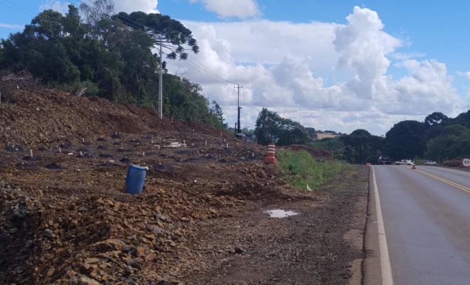 PRC-466 entre Turvo e Palmeirinha