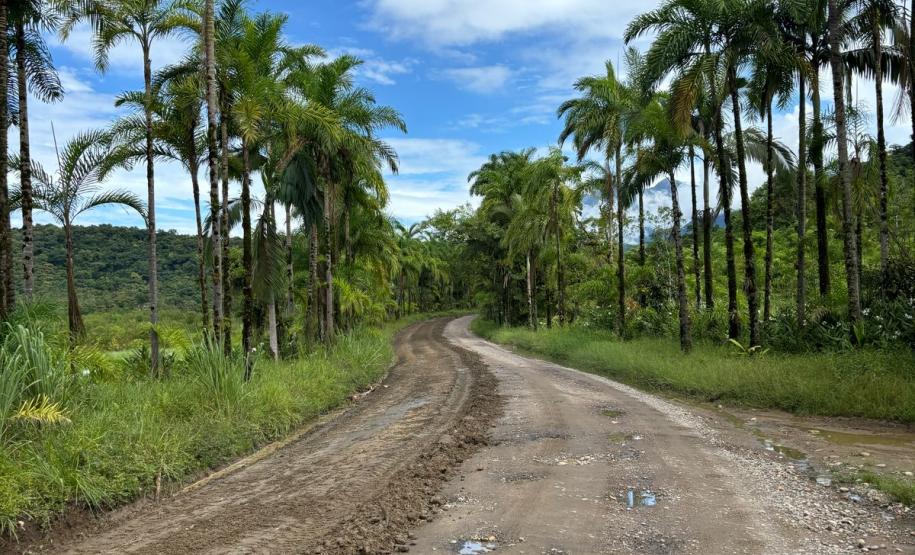 PR-405 Estrada de Guaraqueçaba recebendo serviços de conservação