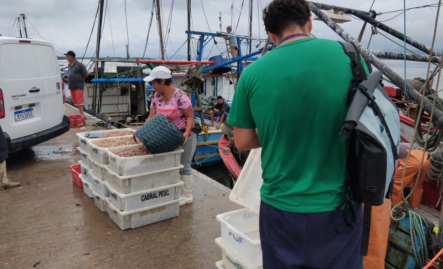 Acompanhamento técnico da atividade pesqueira na Baía de Guaratuba