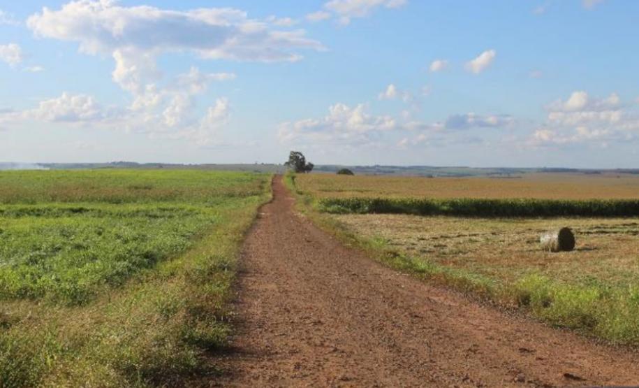 Janiópolis - Estrada São Domingos
