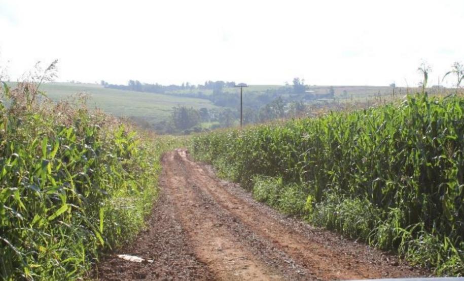 Janiópolis - Estrada São Domingos