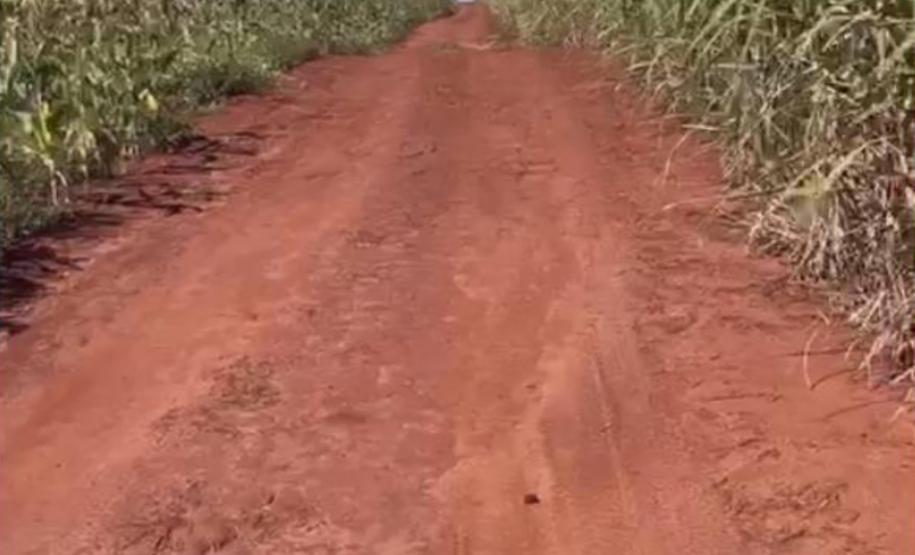 Ponte sobre o córrego Genúncia em Floraí - estrada de acesso