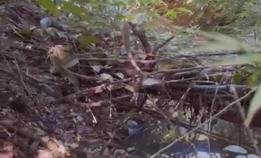 Ponte sobre o córrego Genúncia em Floraí - córrego