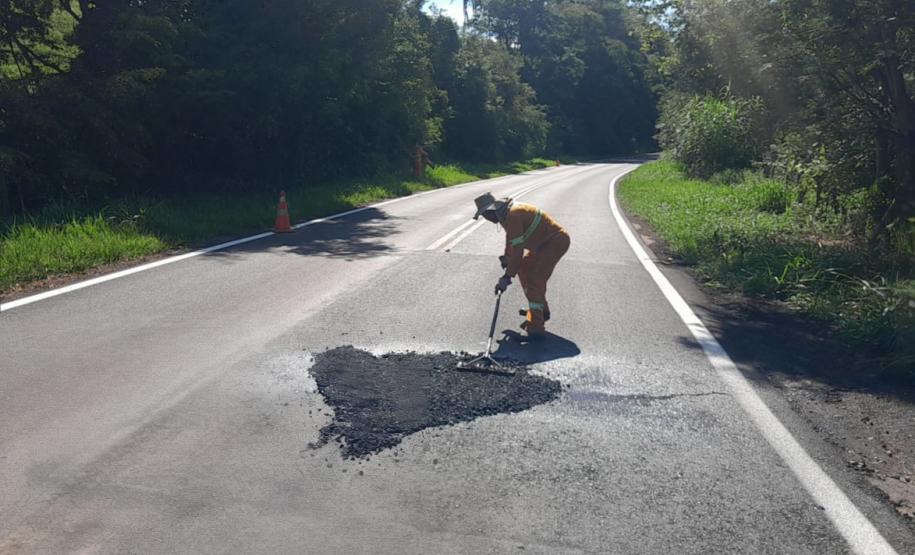 PR-431 entre Cambará, Jacarezinho e Ribeirão Claro