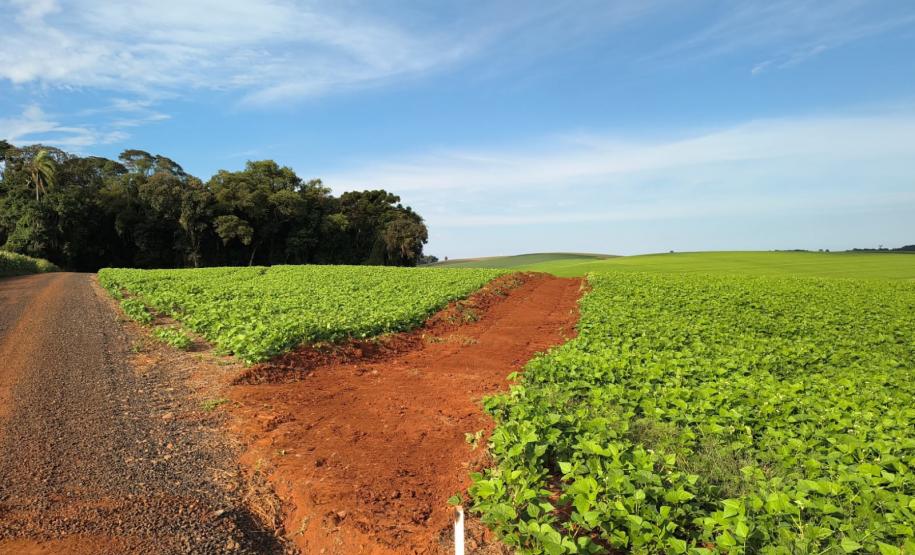 PR-916 Contorno Noroeste de Pato Branco lote 2 - serviços iniciais