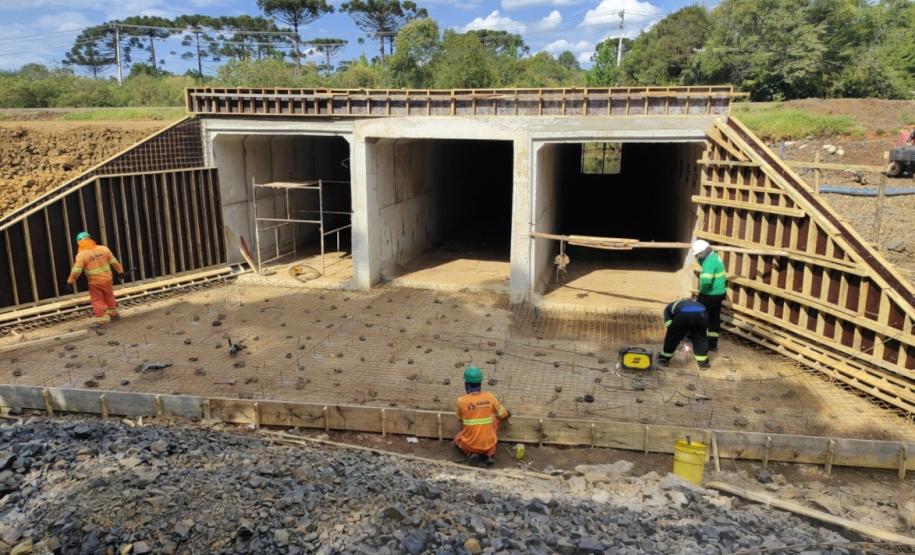 PRC-466 duplicação entre Turvo e Palmeirinha