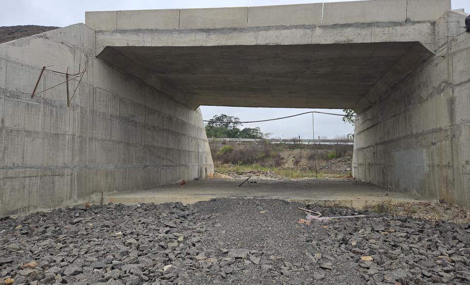 PR-364 pavimentação e viaduto em Irati
