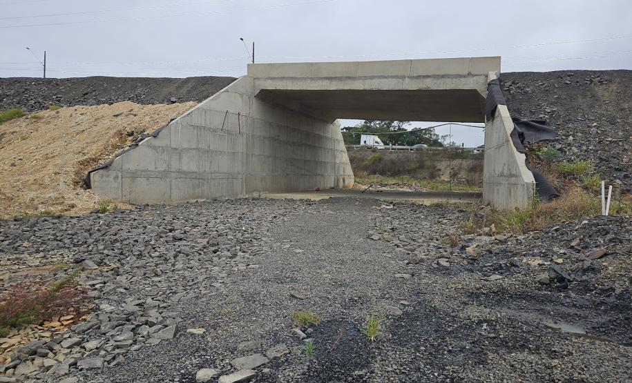 PR-364 pavimentação e viaduto em Irati