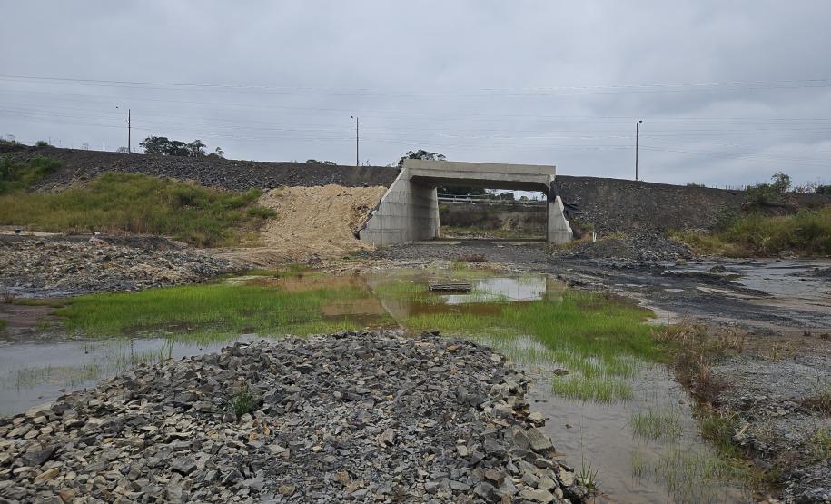 PR-364 pavimentação e viaduto em Irati