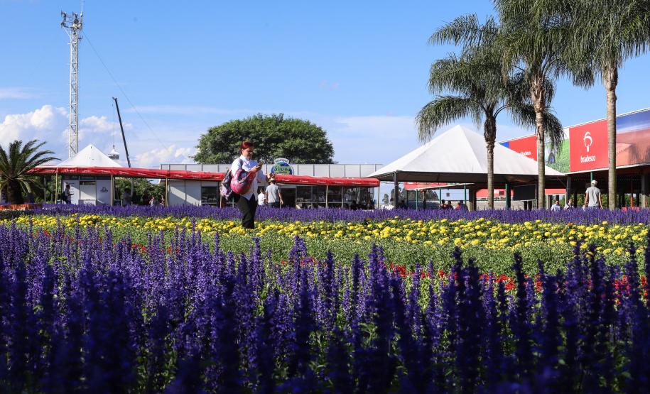 Show Rural - Cascavel, 07/02/2019 - Foto: Rodrigo Félix Leal/ANPr