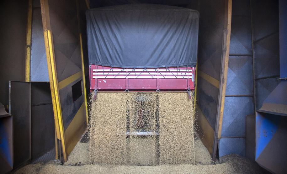 Os Portos do Paraná se preparam para um ritmo mais intenso no escoamento dos grãos destinados para exportação, com a chegada da safra 2018/19, que vem do interior do Estado e dos estados do Sudeste e Centro-Oeste do país.  -  Paranaguá, 27/02/2019   - Foto: Carlos Neves/APPA