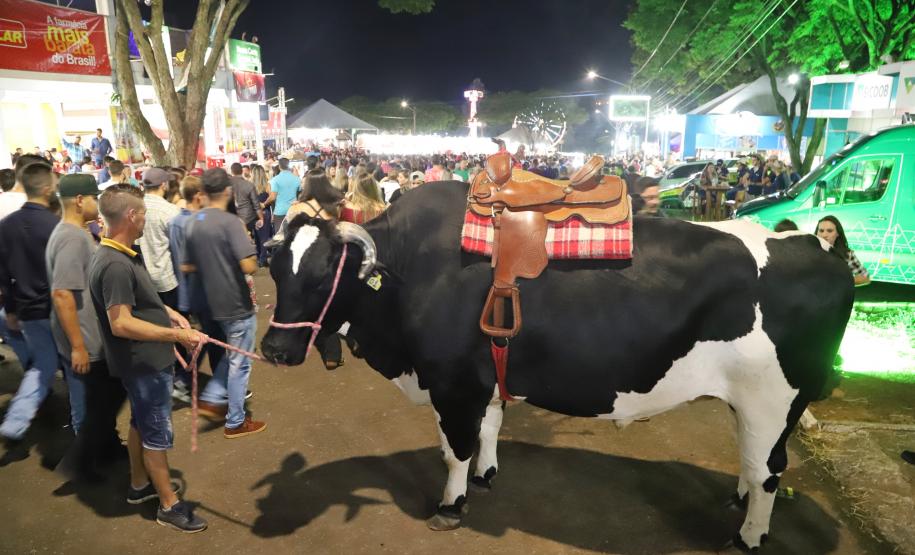 Em visita à 45ª edição da Expo Umuarama na noite desta sexta-feira (15), o governador Carlos Massa Ratinho Junior anunciou um pacote de R$ 54,7 milhões em investimentos na PR-323. Foram assinadas três licitações de obras e projetos de duplicação e ampliação da capacidade de tráfego da rodovia, que é um importante corredor da malha estadual e proporciona ligação com países do Mercosul. -  Umuarama, 15/03/2019  -  foto: José Fernando Ogura/ANPr