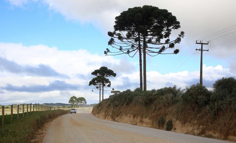 Governador Carlos Massa Ratinho Junior autoriza o início das obras de pavimentação de 9 quilômetros da estrada do Socavão, em Castro. Foto: Jaelson Lucas/ANPr