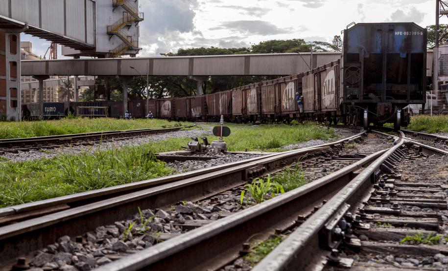 Foto: Claudio Neves/APPA