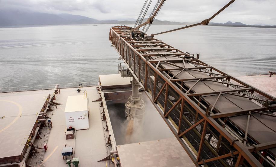 19% das exportações da soja brasileira passa pelos Portos do Paraná. Foto: Claudio Neves/APPA