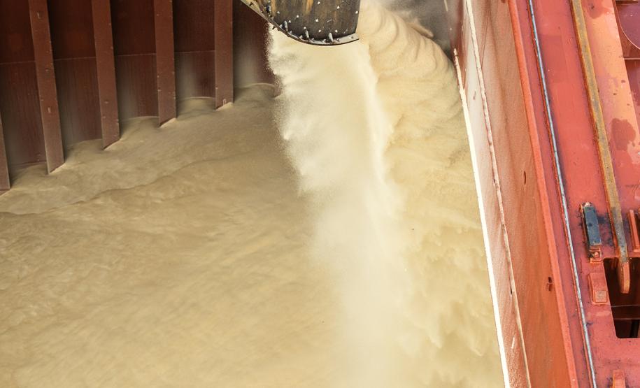 O Porto de Paranaguá registrou nova movimentação recorde. Desta vez, no embarque de açúcar a granel pelo berço 204. Um único navio - o Caravos Glory, das Ilhas Marschall (Oceania) - levará uma carga de 58.175 toneladas para o Oriente Médio. A média dos carregamentos no local geralmente fica entre 40 e 45 mil toneladas. - Paranaguá, 03/06/2019 - Foto: Cláudio Neves/APPA