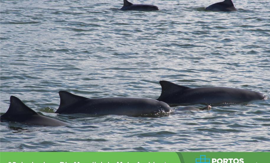 Nesta quarta-feira (5), Dia Internacional do Meio Ambiente, a equipe dos Portos do Paraná promove uma palestra sobre Emissões Atmosférica para os alunos do curso de Técnico de Meio Ambiente do Centro Estadual de Educação Profissional Dr. Brasílio Machado, em Antonina. - Foto: Cesar Alberto Teixeira de Oliveira