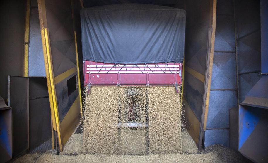 Corredor de Exportação Porto de Paranaguá - Paranaguá, 05/06/2019 - Foto: Cláudio Neves/APPA