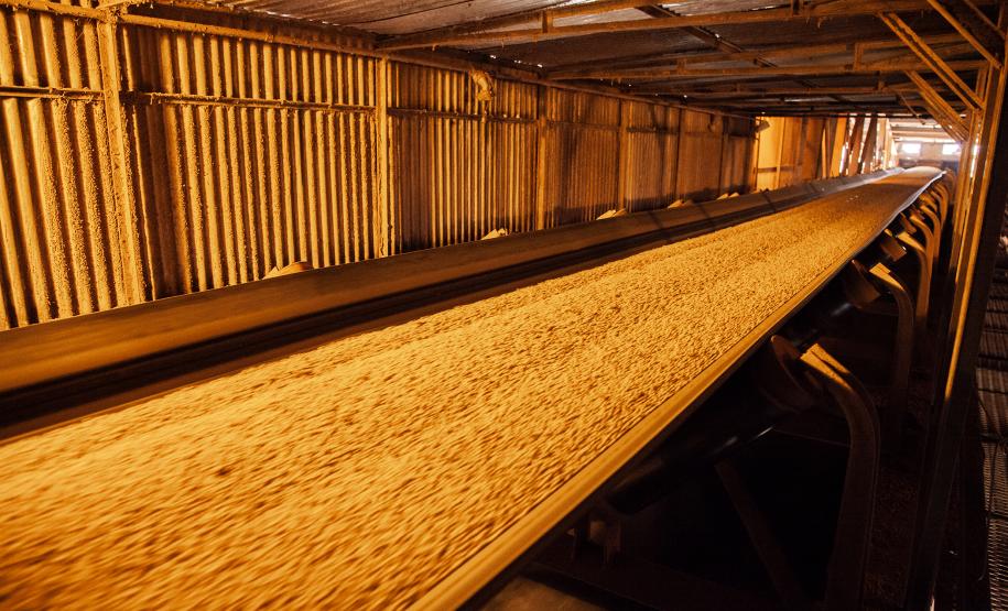 Corredor de Exportação Porto de Paranaguá - Paranaguá, 05/06/2019 - Foto: Cláudio Neves/APPA